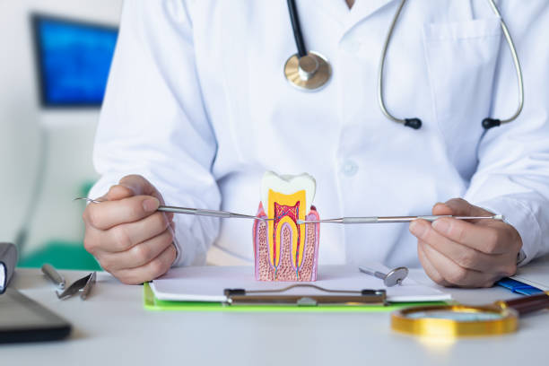 Best Tooth Pain Emergency Relief  in Tontitown, AR